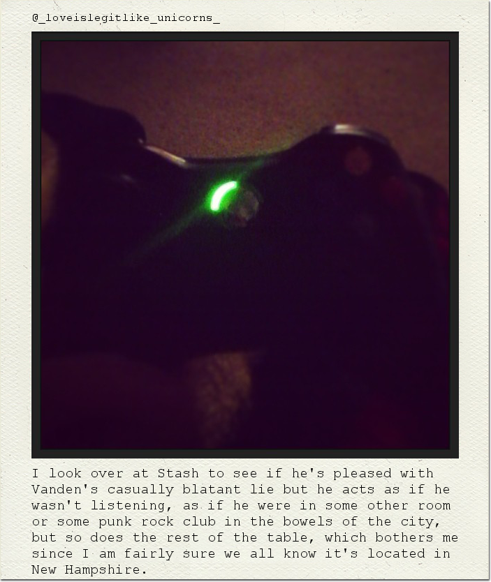 I look over at Stash to see if he's pleased with Vanden's casually blatant lie but he acts as if he wasn't listening, as if he were in some other room or some punk rock club in the bowels of the city, but so does the rest of the table, which bothers me since I am fairly sure we all know it's located in New Hampshire.