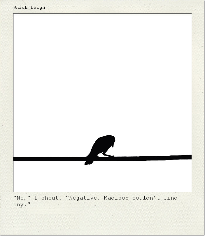 "No," I shout. "Negative. Madison couldn't find any."