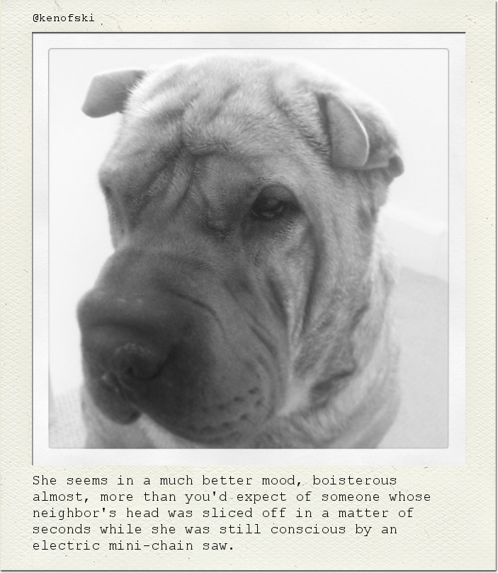 She seems in a much better mood, boisterous almost, more than you'd expect of someone whose neighbor's head was sliced off in a matter of seconds while she was still conscious by an electric mini-chain saw.