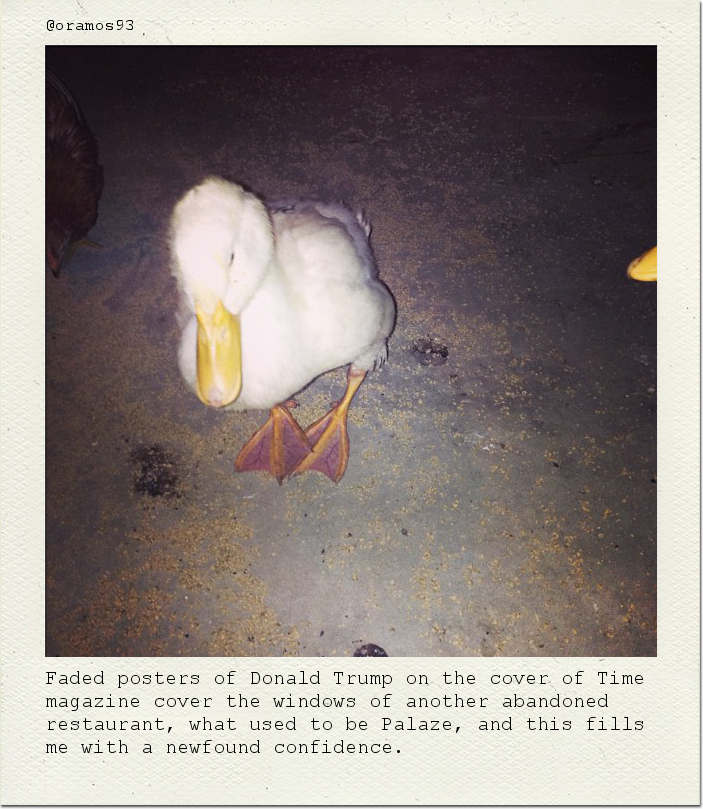 Faded posters of Donald Trump on the cover of Time magazine cover the windows of another abandoned restaurant, what used to be Palaze, and this fills me with a newfound confidence.