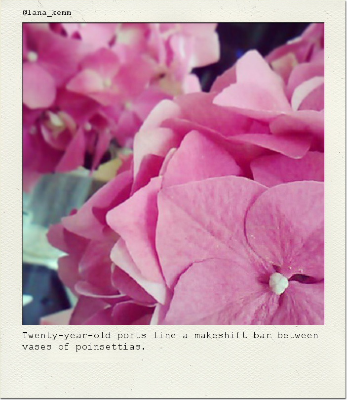 Twenty-year-old ports line a makeshift bar between vases of poinsettias.