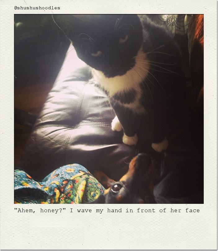 "Ahem, honey?" I wave my hand in front of her face.