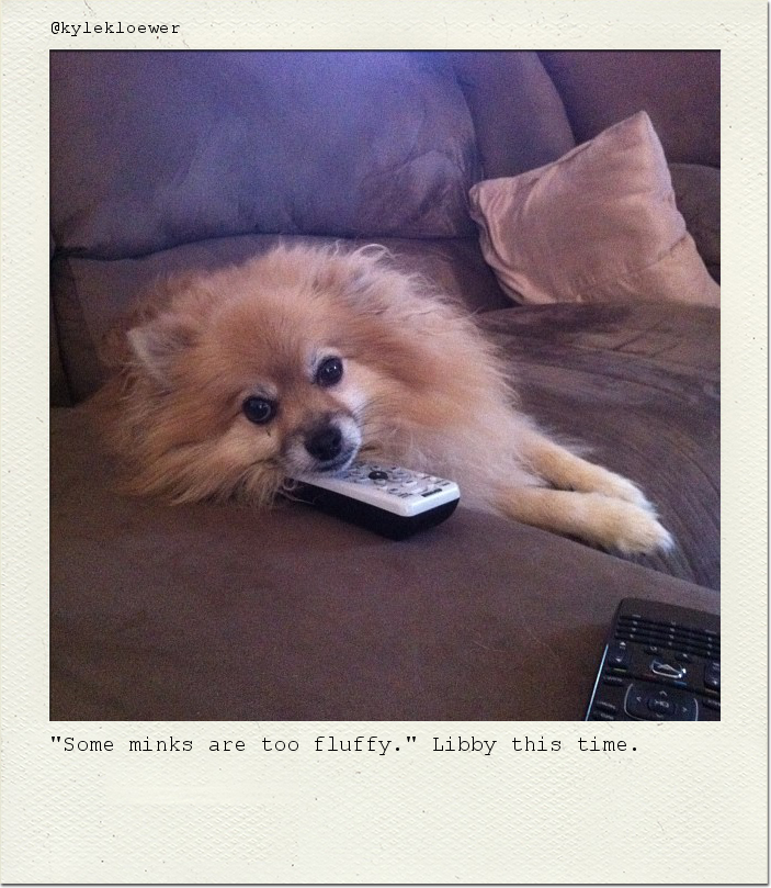 "Some minks are too fluffy." Libby this time.
