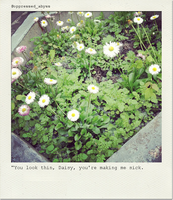 "You look thin, Daisy, you're making me sick.