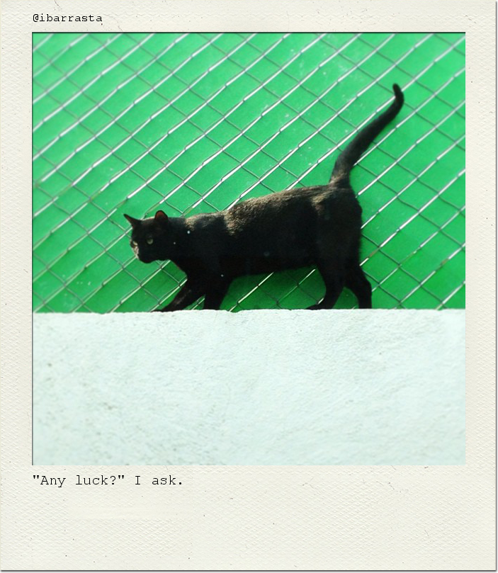 "Any luck?" I ask.