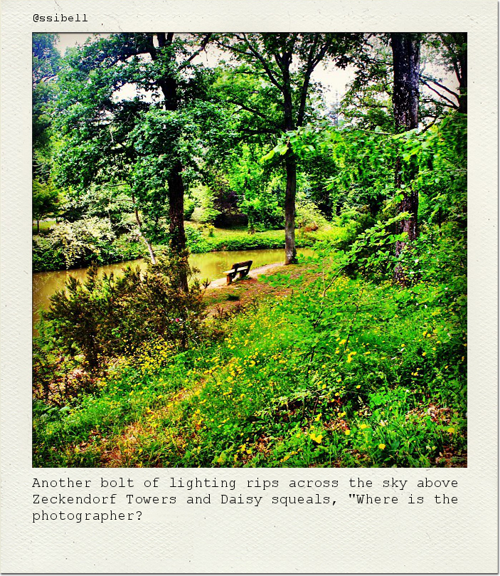 Another bolt of lighting rips across the sky above Zeckendorf Towers and Daisy squeals, "Where is the photographer?