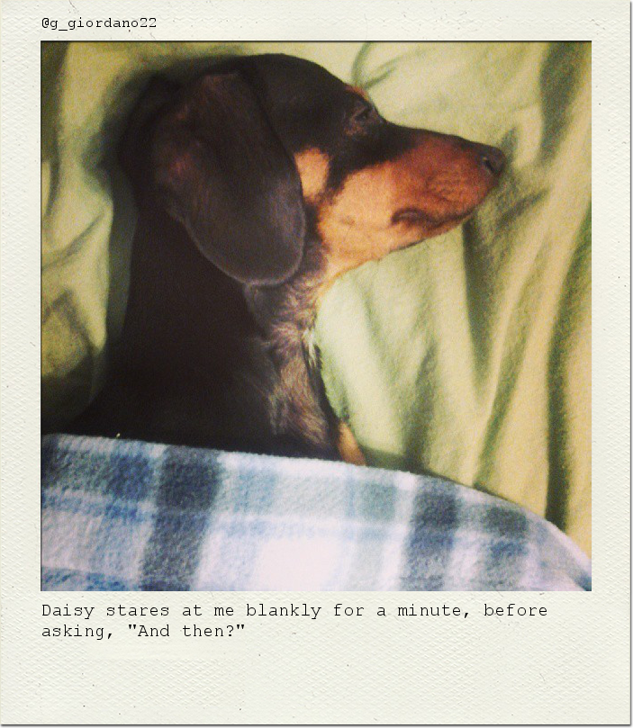 Daisy stares at me blankly for a minute, before asking, "And then?"