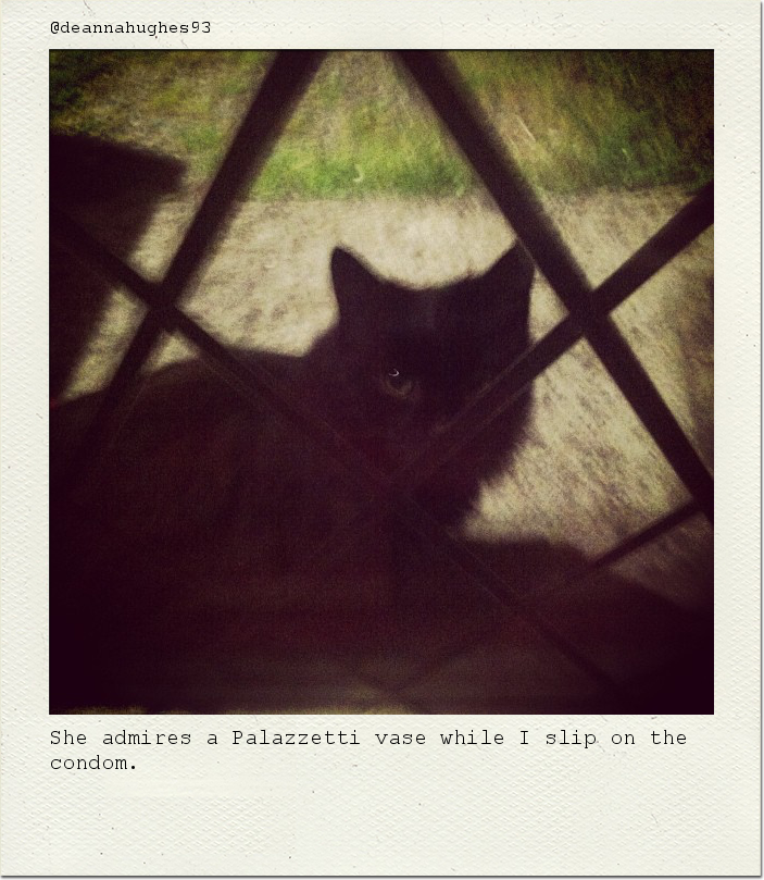 She admires a Palazzetti vase while I slip on the condom.