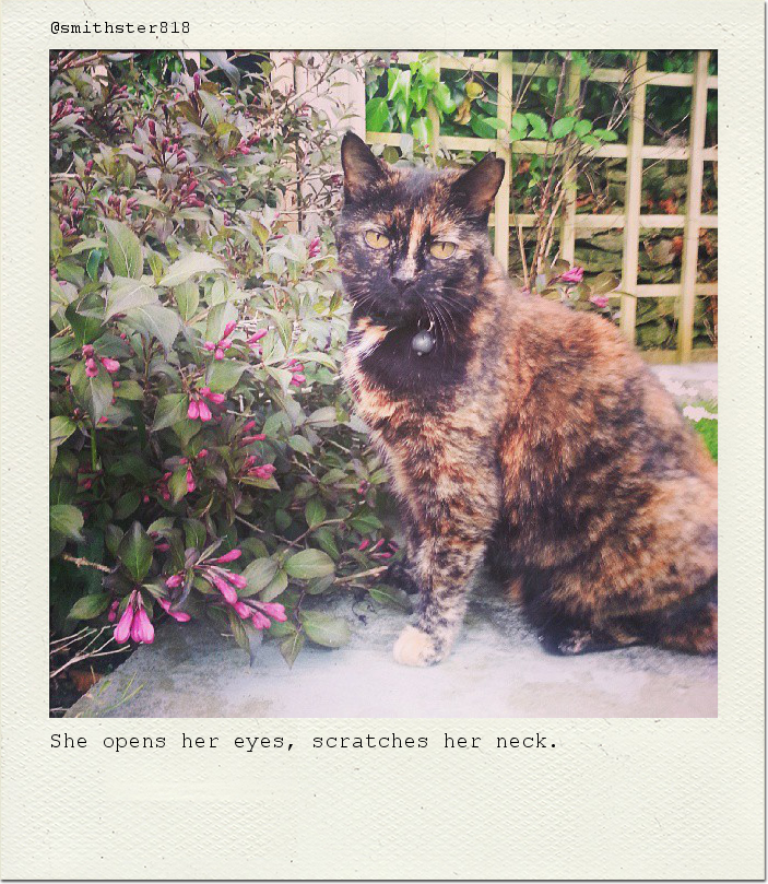 She opens her eyes, scratches her neck.