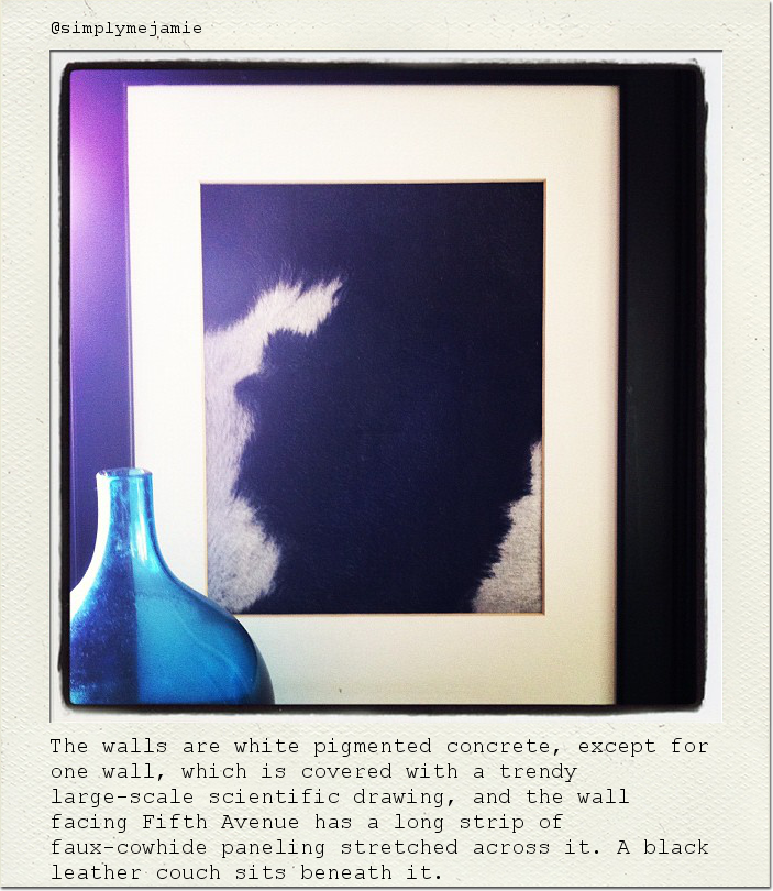 The walls are white pigmented concrete, except for one wall, which is covered with a trendy large-scale scientific drawing, and the wall facing Fifth Avenue has a long strip of faux-cowhide paneling stretched across it. A black leather couch sits beneath it.