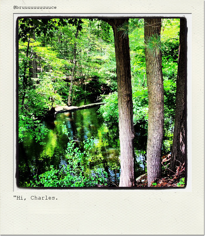 "Hi, Charles.