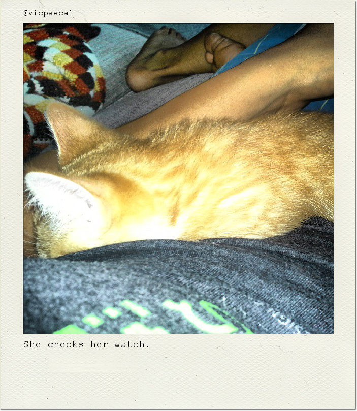 She checks her watch.