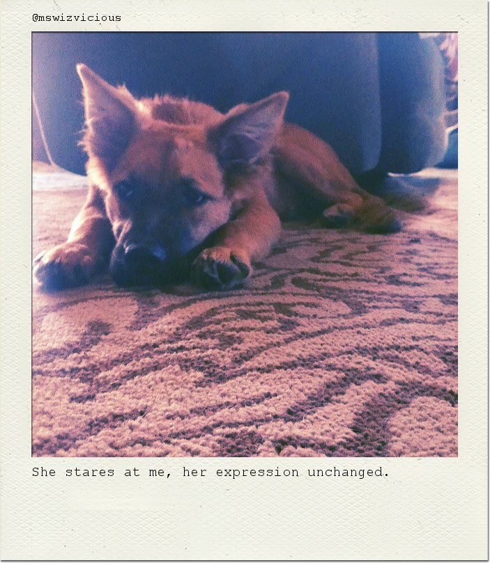 She stares at me, her expression unchanged.