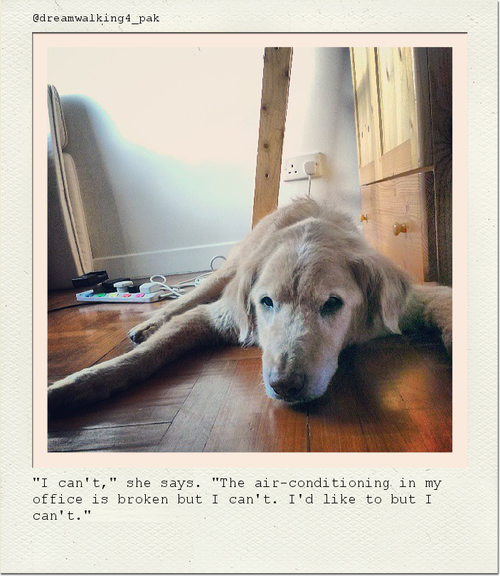 "I can't," she says. "The air-conditioning in my office is broken but I can't. I'd like to but I can't."