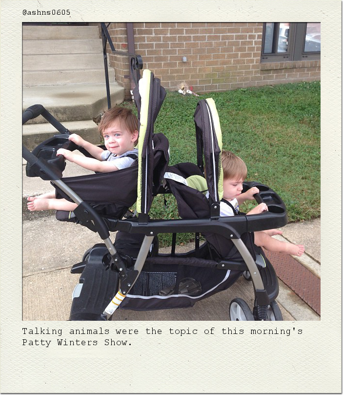 Talking animals were the topic of this morning's Patty Winters Show.