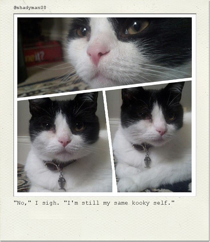 "No," I sigh. "I'm still my same kooky self."