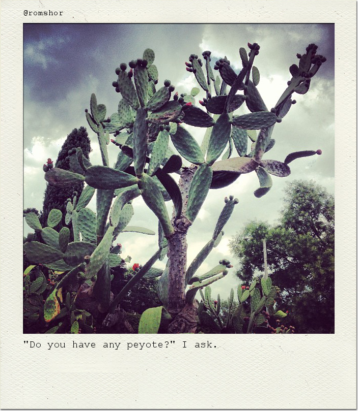 "Do you have any peyote?" I ask.