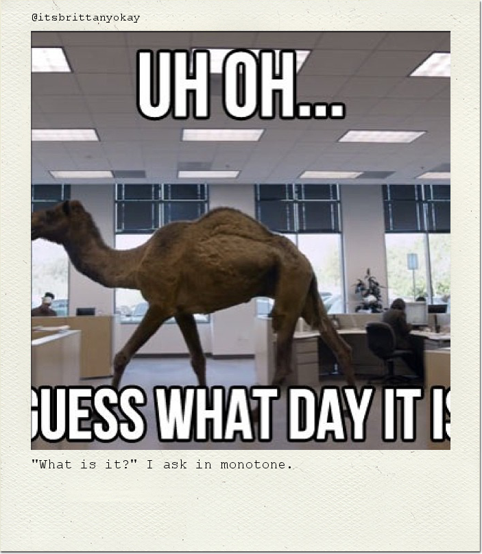 "What is it?" I ask in monotone.