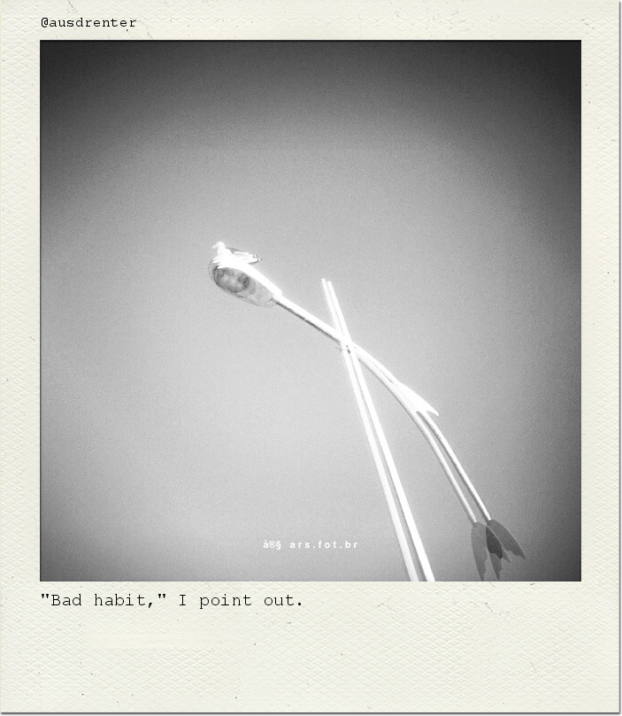 "Bad habit," I point out.