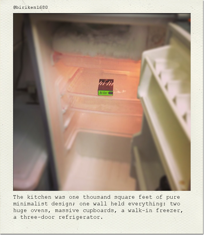 The kitchen was one thousand square feet of pure minimalist design; one wall held everything: two huge ovens, massive cupboards, a walk-in freezer, a three-door refrigerator.