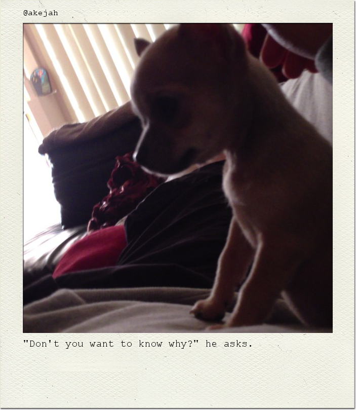 "Don't you want to know why?" he asks.