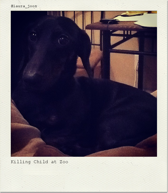 Killing Child at Zoo
