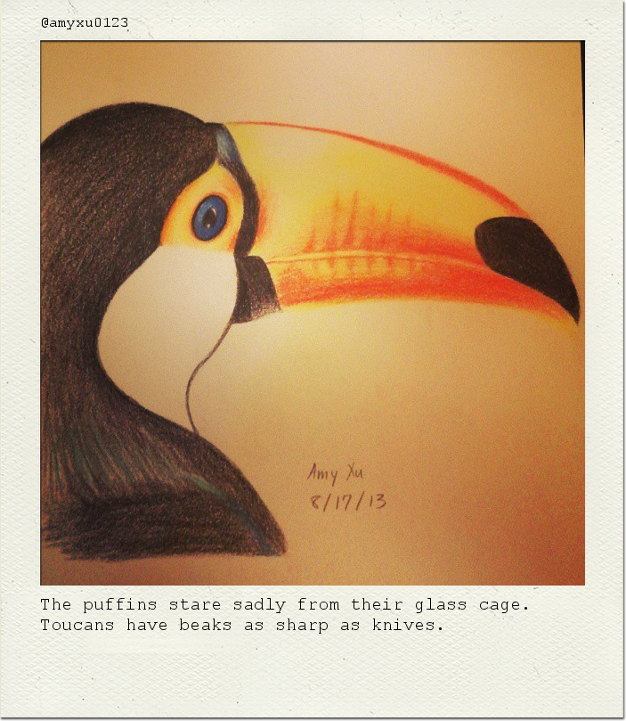 The puffins stare sadly from their glass cage. Toucans have beaks as sharp as knives.