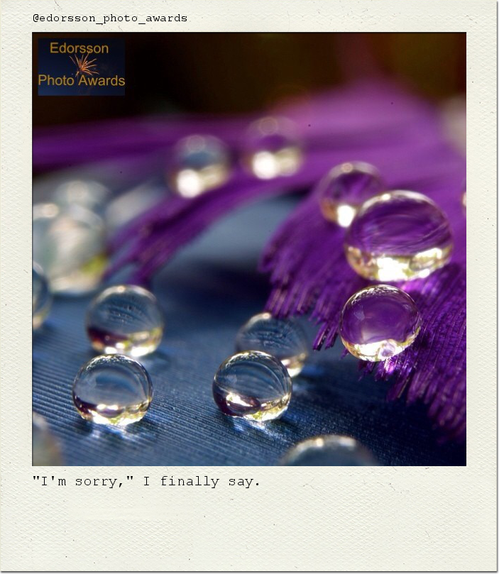 "I'm sorry," I finally say.
