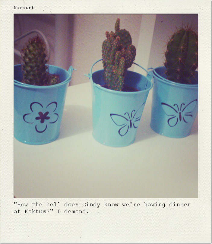 "How the hell does Cindy know we're having dinner at Kaktus?" I demand.