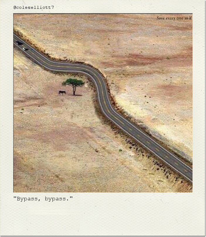 "Bypass, bypass."