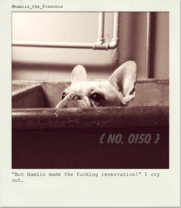 "But Hamlin made the fucking reservation!" I cry out.