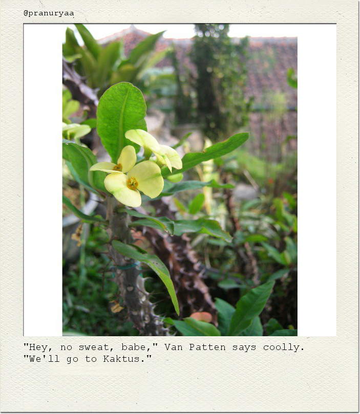 "Hey, no sweat, babe," Van Patten says coolly. "We'll go to Kaktus."