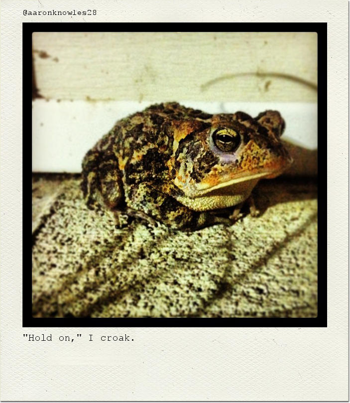 "Hold on," I croak.