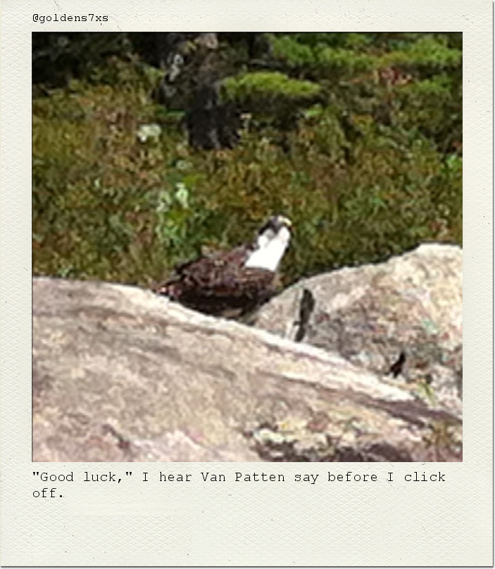 "Good luck," I hear Van Patten say before I click off.