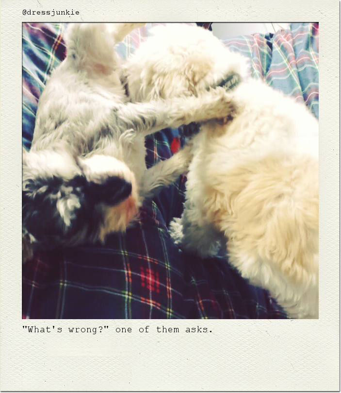 "What's wrong?" one of them asks.