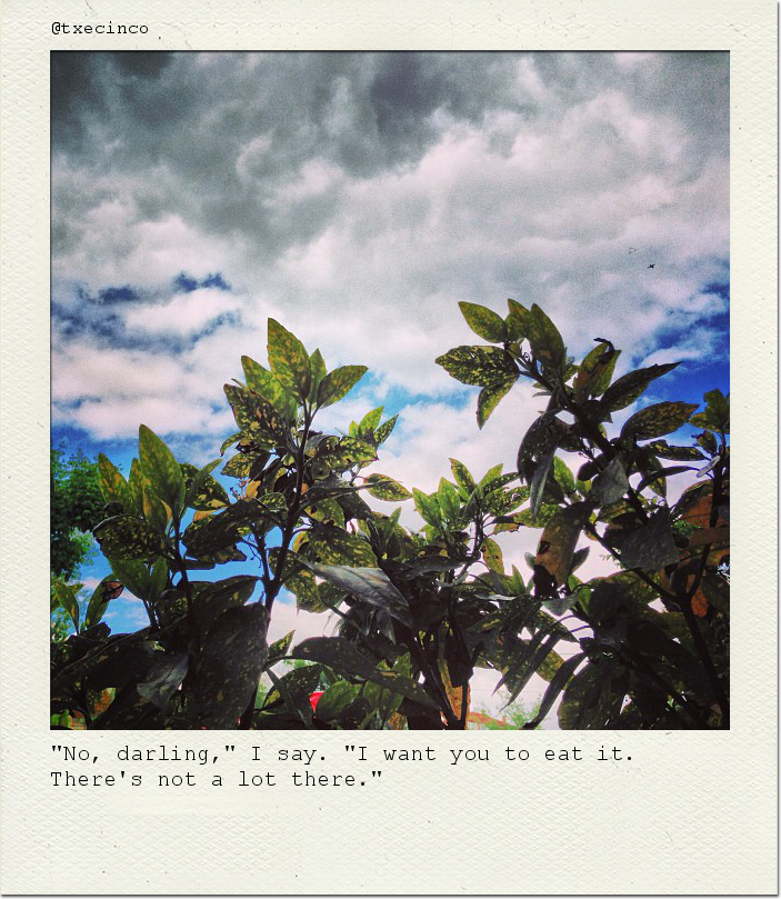 "No, darling," I say. "I want you to eat it. There's not a lot there."