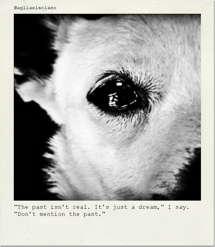 "The past isn't real. It's just a dream," I say. "Don't mention the past."