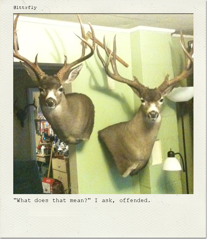 "What does that mean?" I ask, offended.