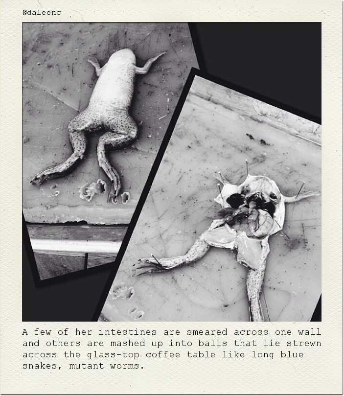 A few of her intestines are smeared across one wall and others are mashed up into balls that lie strewn across the glass-top coffee table like long blue snakes, mutant worms.