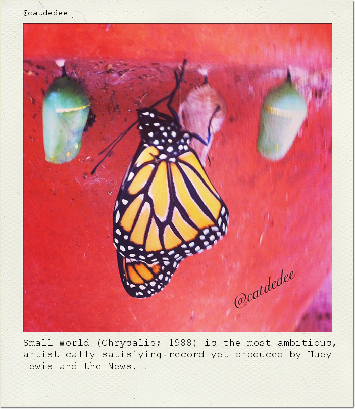 Small World (Chrysalis; 1988) is the most ambitious, artistically satisfying record yet produced by Huey Lewis and the News.