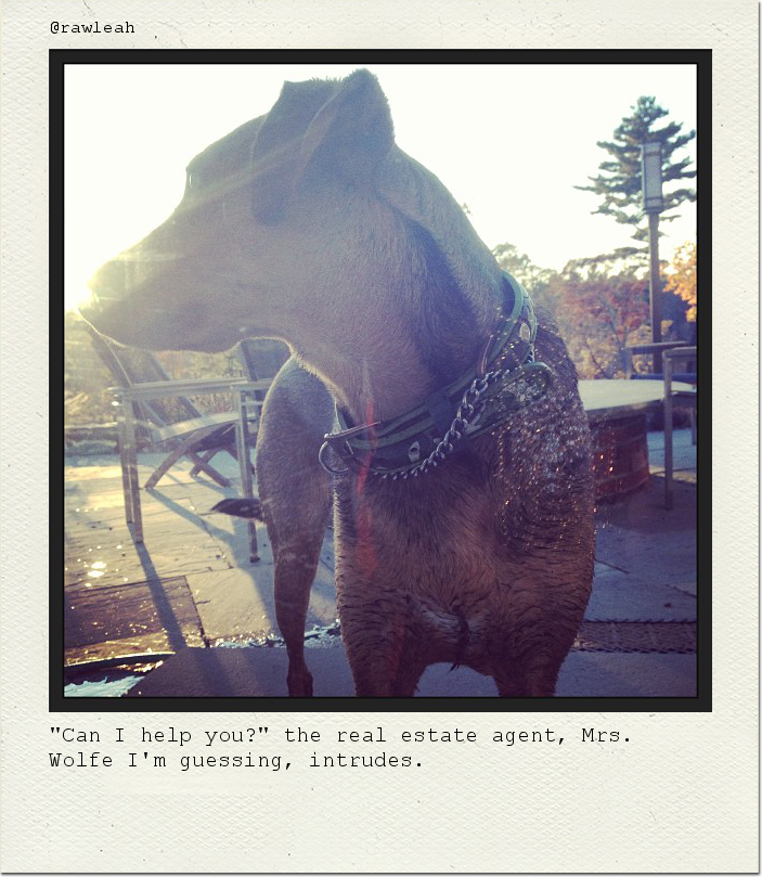 "Can I help you?" the real estate agent, Mrs. Wolfe I'm guessing, intrudes.