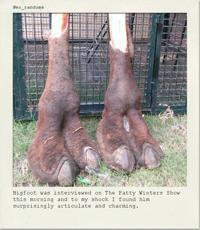 Bigfoot was interviewed on The Patty Winters Show this morning and to my shock I found him surprisingly articulate and charming.