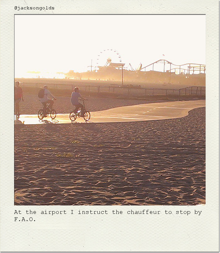 At the airport I instruct the chauffeur to stop by F.A.O.