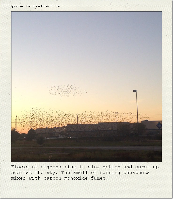 Flocks of pigeons rise in slow motion and burst up against the sky. The smell of burning chestnuts mixes with carbon monoxide fumes.