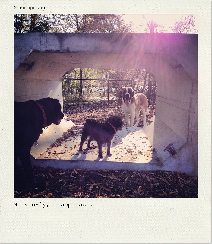 Nervously, I approach.