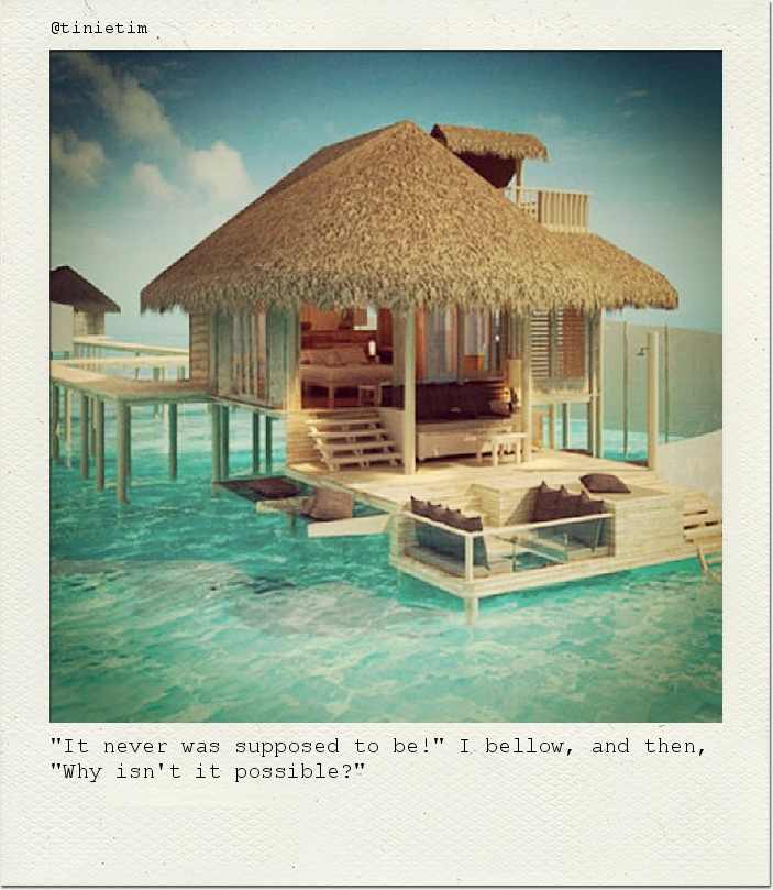 "It never was supposed to be!" I bellow, and then, "Why isn't it possible?"