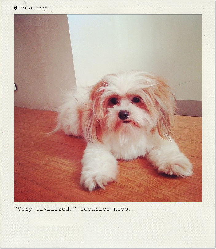 "Very civilized." Goodrich nods.