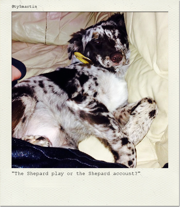 "The Shepard play or the Shepard account?"